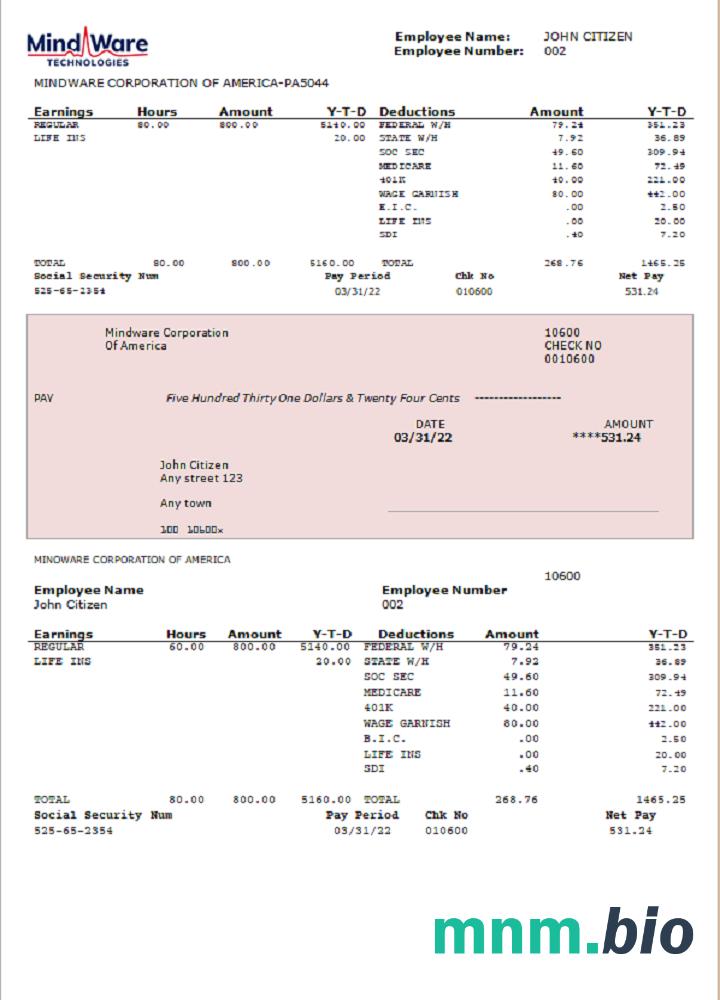 USA software company employee sheet